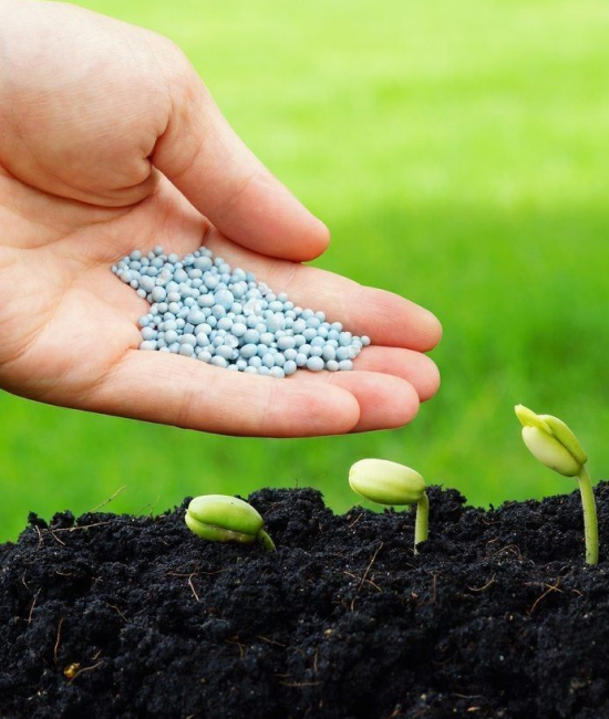 fertilizers